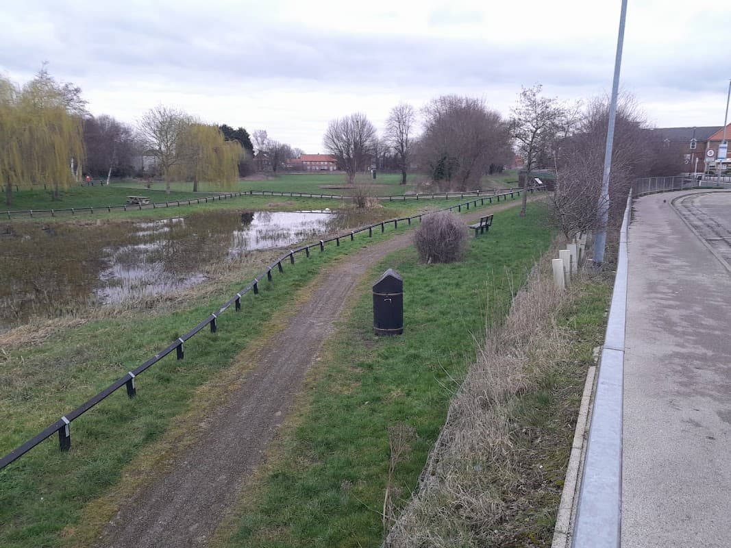 Selby Wildlife Pond
