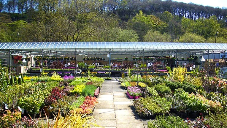 Lush garden center with colorful plants, flowers, and greenery under a glass roof, set against a wooded hillside.