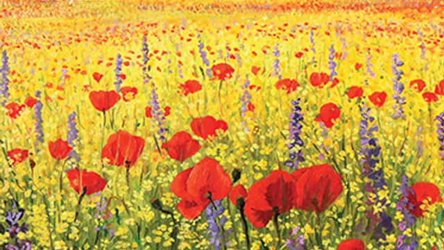 Vibrant field of red poppies and yellow flowers under a bright sky, showcasing a colorful floral landscape.