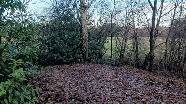 Carr Manor mound - Historic Site in headingley