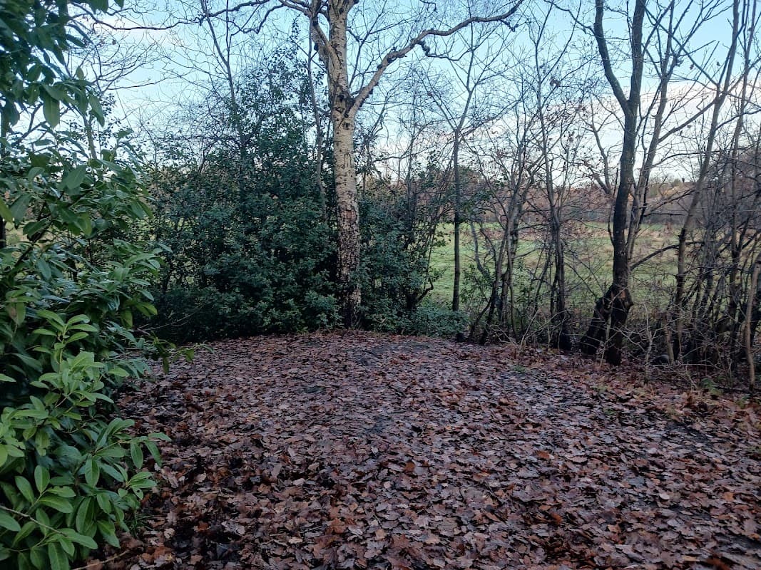 Carr Manor mound