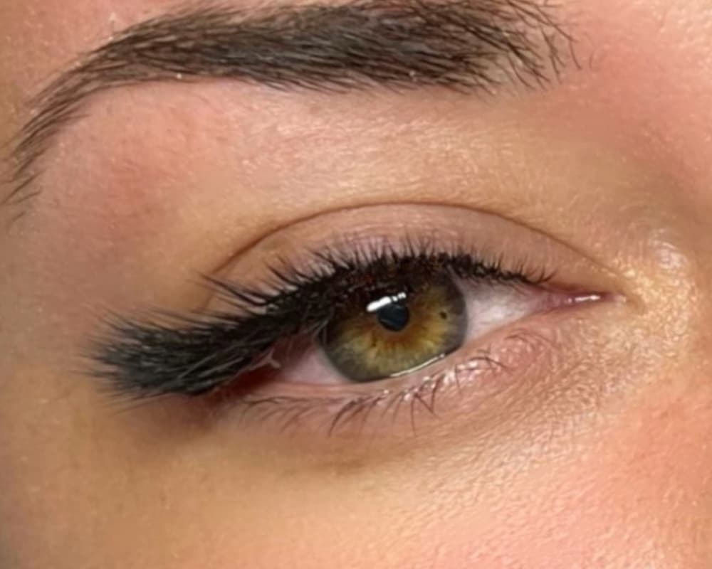 GD LASHMAKER