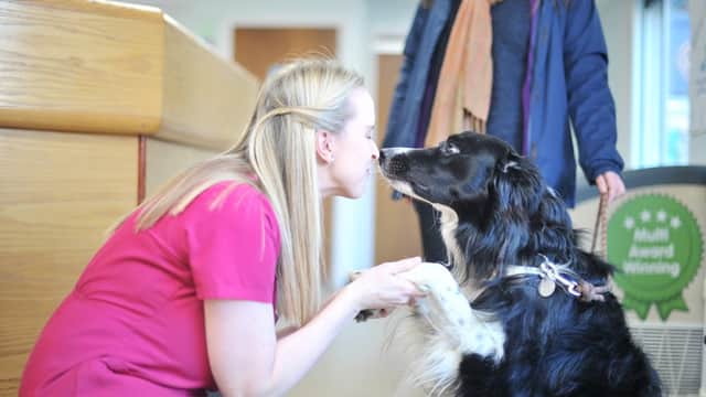 Abbeymoor Veterinary Centre, Halifax - Vets in sheffield