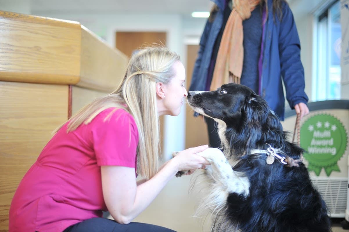 Abbeymoor Veterinary Centre, Halifax