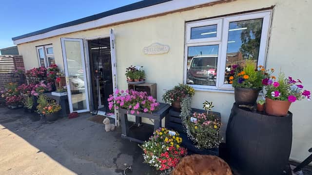 Colorful flower pots line the entrance of a nursery building, with a friendly dog sniffing around the area.