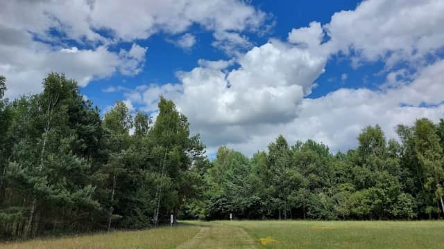 Pathway leading through tall grass and trees under a blue sky with fluffy clouds at Drax Skylark Centre.