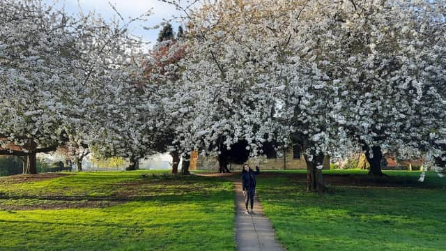 Thornaby Village Green - Park in thornaby