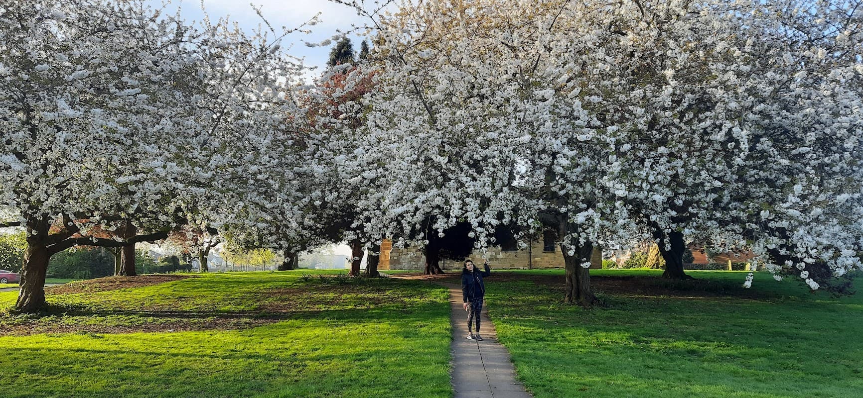Thornaby Village Green