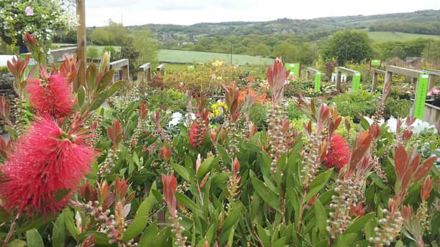 Totties Garden Centre - Garden in new mill