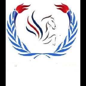 Olympian Rug Wash