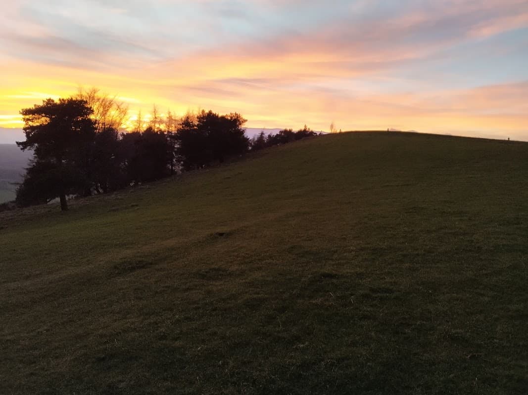 Rundle Road Open Space