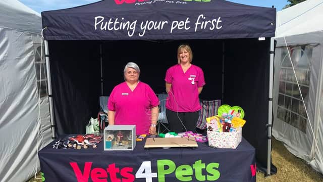 Vets4Pets - Beverley - Vets in beverley