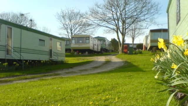 Caravan park with green grass, blooming daffodils, and several caravans under a clear blue sky in Gristhorpe, Yorkshire.