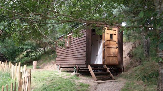 Wooden shepherd hut nestled among trees, with steps leading to a door and a gravel path in a serene setting.