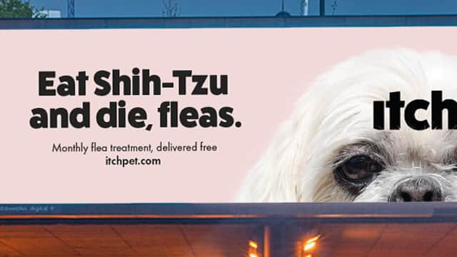 ITCH - Pet Shops in leeds