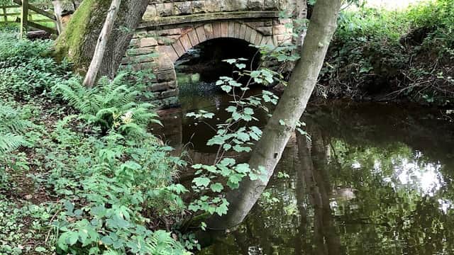 Stone bridge arching over a calm stream, surrounded by lush greenery and trees in Kildale, Yorkshire.