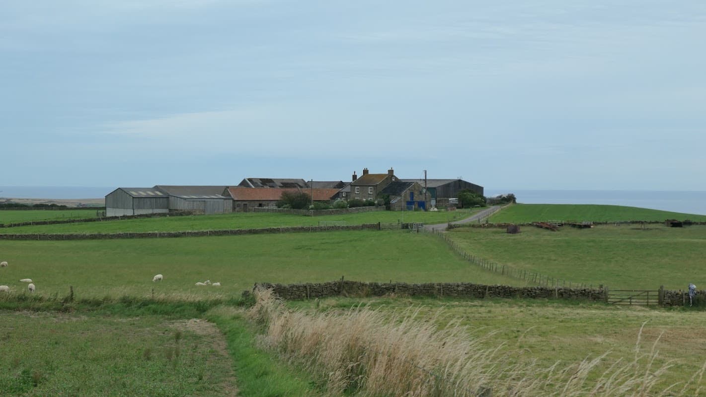 Bottom House Farm