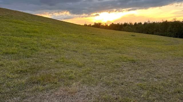 Barnsley Main Nature Reserve - Nature Reserves in barnsley