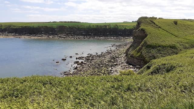 Coastal view of Cloughton Wyke with rocky shoreline, green cliffs, and a clear blue sky.