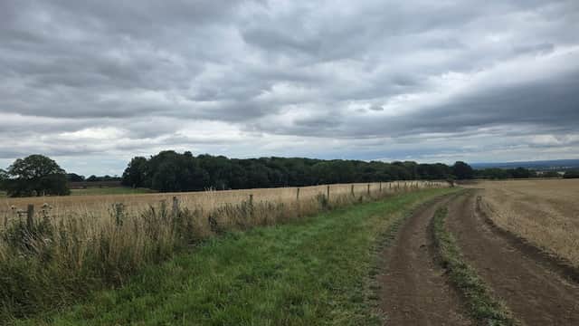 Target woods northallerton - Historic Site in northallerton