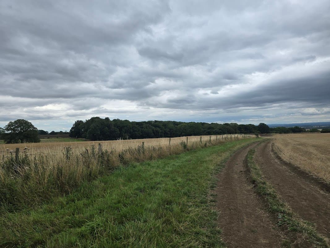 Target woods northallerton