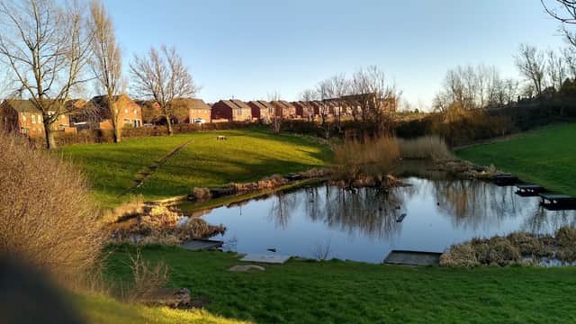 Arbourthorne Pond - Park in heeley