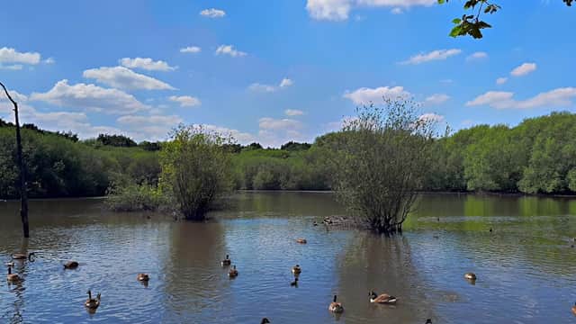 Stanley Marsh - Park in wakefield