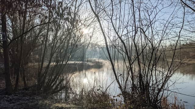 Sunlight filters through bare trees, illuminating a misty lake surrounded by frosty vegetation.
