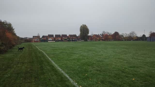 Spacious green field with a dog walking along the edge, surrounded by residential houses under a gray sky.