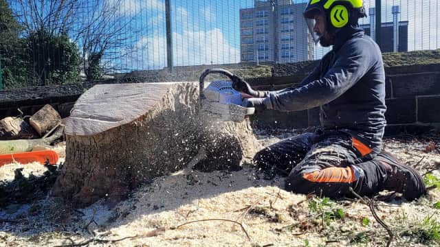 All Aspect Trees Ltd - Landscapers in leeds
