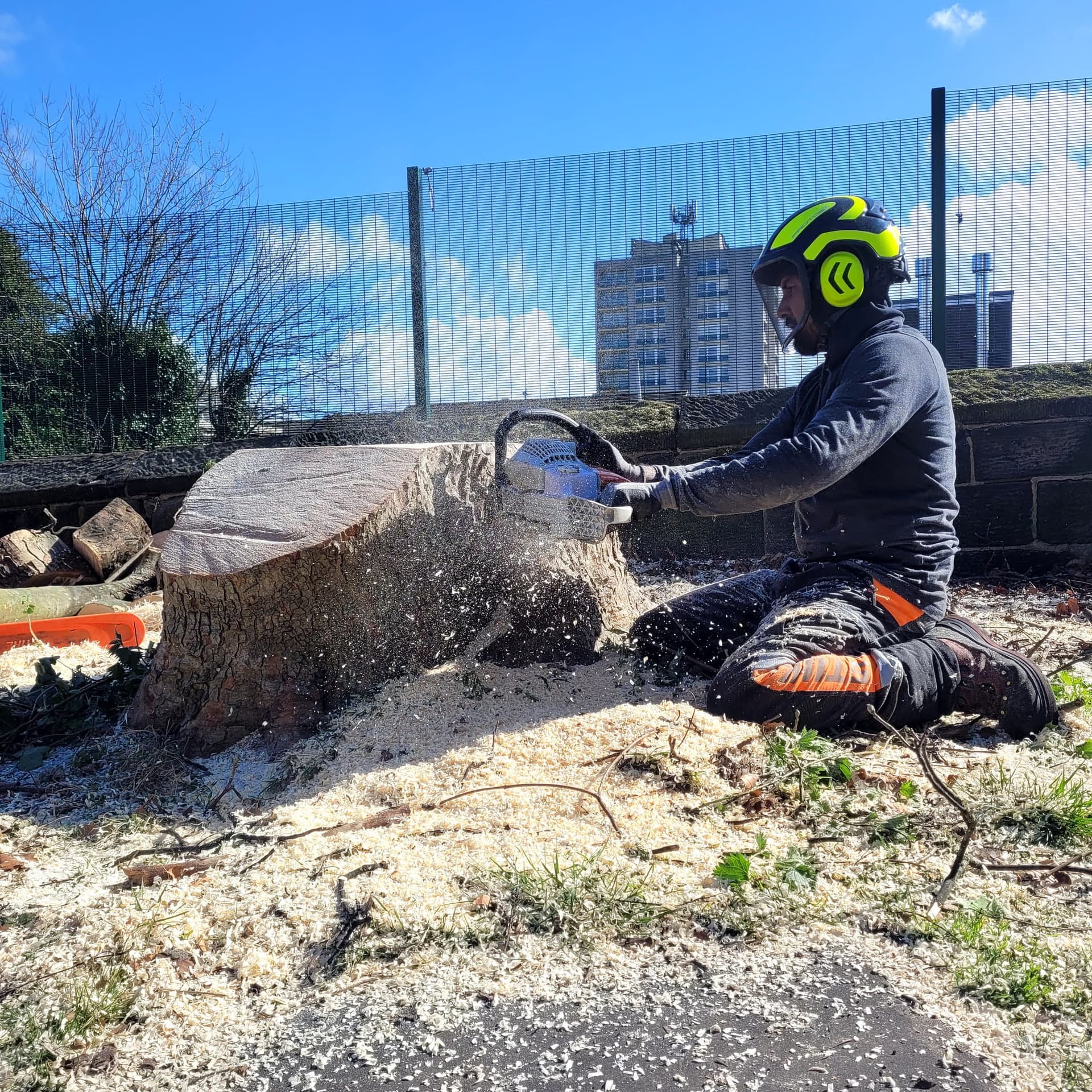 All Aspect Trees Ltd