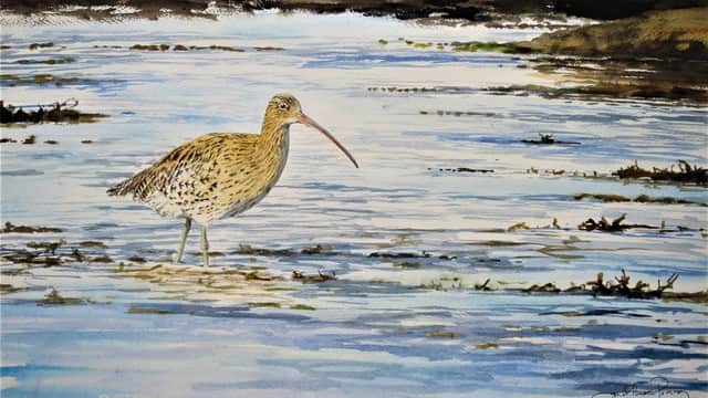 Jonathan Pomroy Landscape and Wildlife Artist - Museum in ampleforth