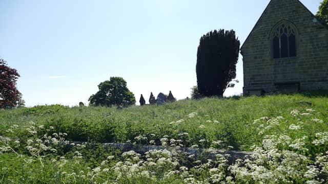 Historic stone church surrounded by lush greenery and wildflowers under a clear blue sky.