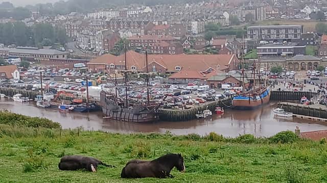 Donkey Field - Historic Site in whitby