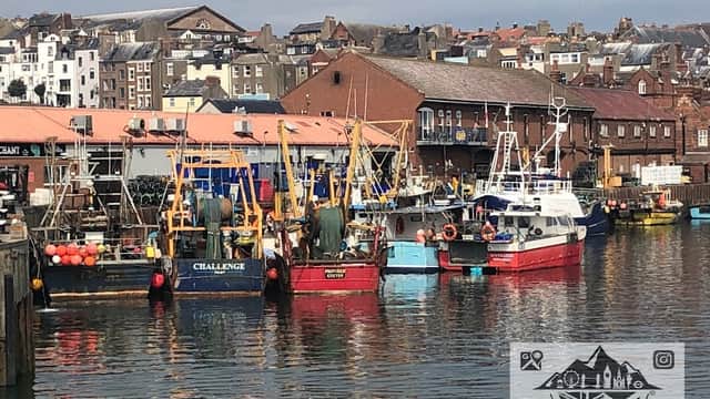 Scarborough Yacht Club - Marinas in scarborough