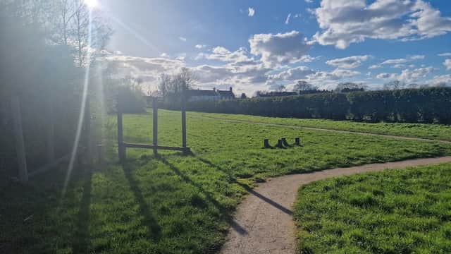 Sunlit grassy area with a winding path, trees in the background, and a blue sky dotted with fluffy clouds.