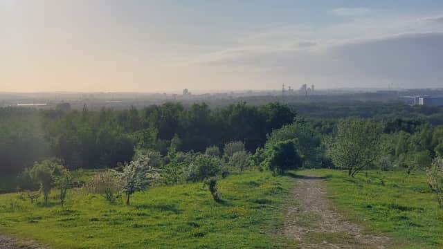Lush green landscape with a dirt path leading down, overlooking distant city skyline under a clear sky.