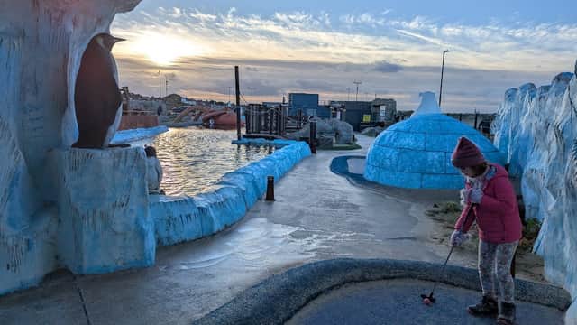 Frosty Penguins Putting Adventure - Mini Golf in redcar