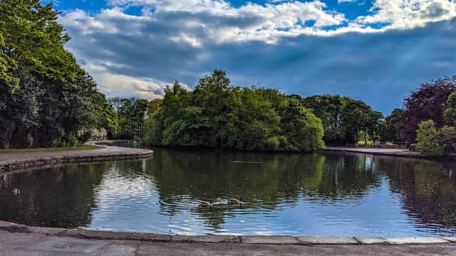 Tranquil park scene with a pond reflecting trees and clouds, a couple of ducks swimming on the water.