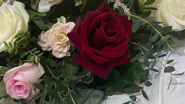 Harveys Funeral Flowers - Florists in greenhill