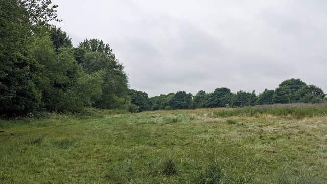 Thornaby FC Wild Meadow - Park in thornaby