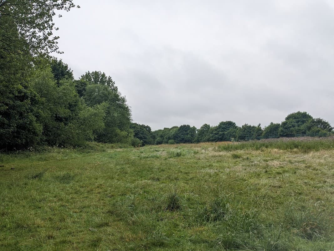 Thornaby FC Wild Meadow