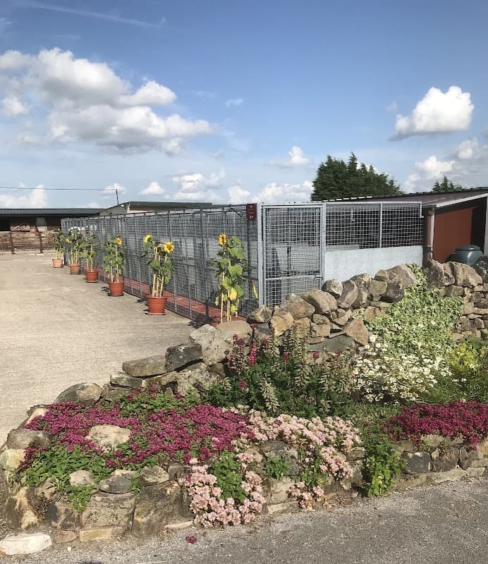 Mosside Kennels & Cattery