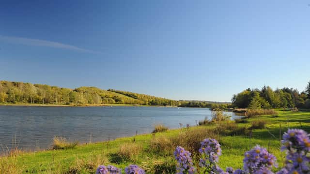Rother Valley Country Park - Attraction in aston