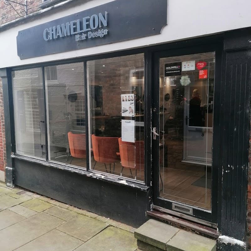 Chameleon Hair Design