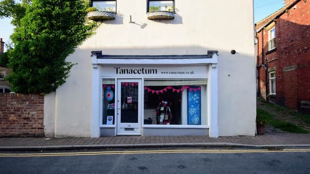 Tanacetum - Gallery in knaresborough
