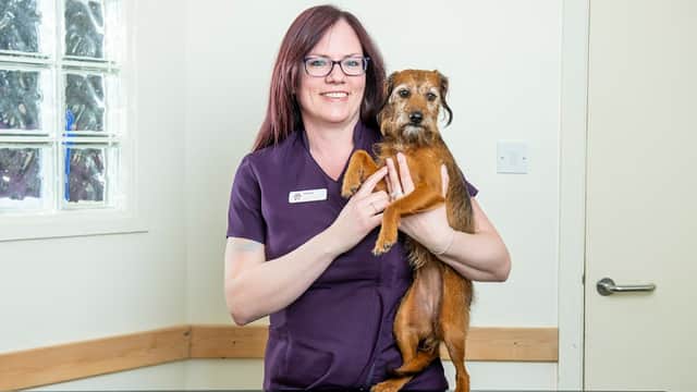 Aldgate Veterinary Practice - Vets in great driffield