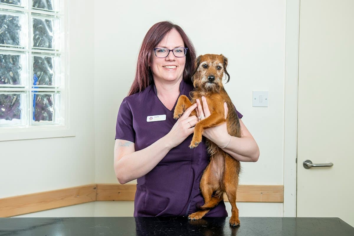 Aldgate Veterinary Practice