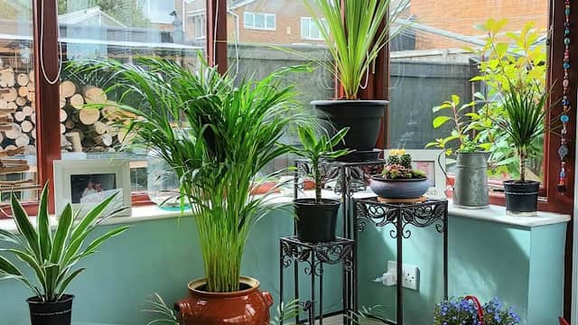Tony Popek Antique Furniture Dealer - Antique Shops in kirkbymoorside