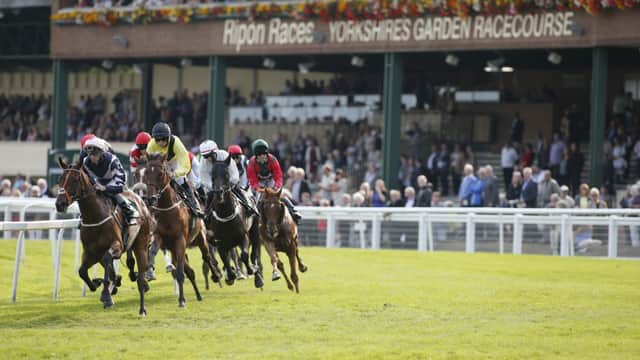 Event image for Go Racing In Yorkshire Summer Festival